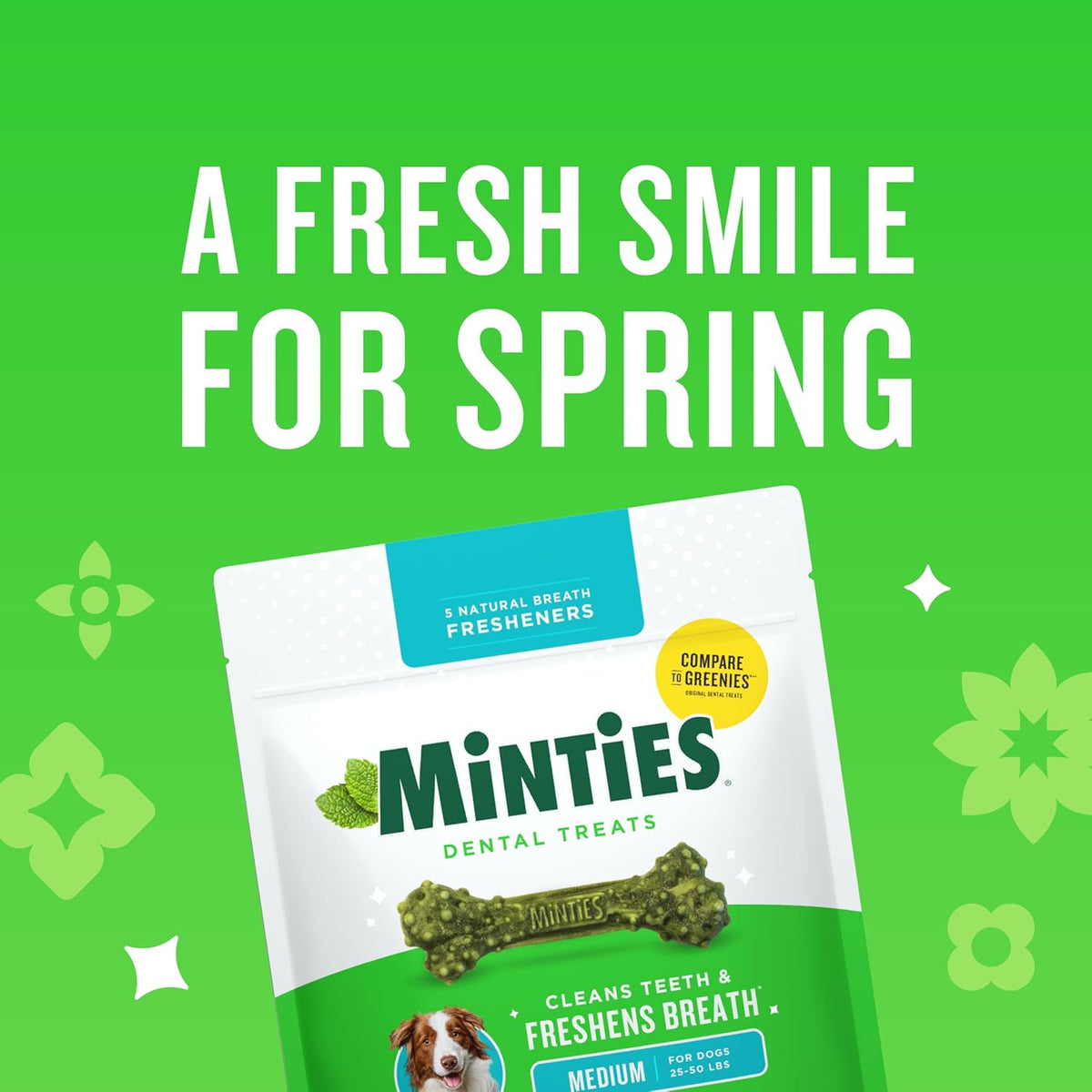 Mint Dental Chews for Dogs, Medium 25-50 Lbs, 20 Ct